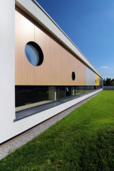 XYstudio, Kindergarten Yellow Elephant – foto