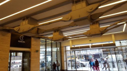 Zdeněk Lukeš: První jarní psí vycházka, táhla v pasáži Florentina