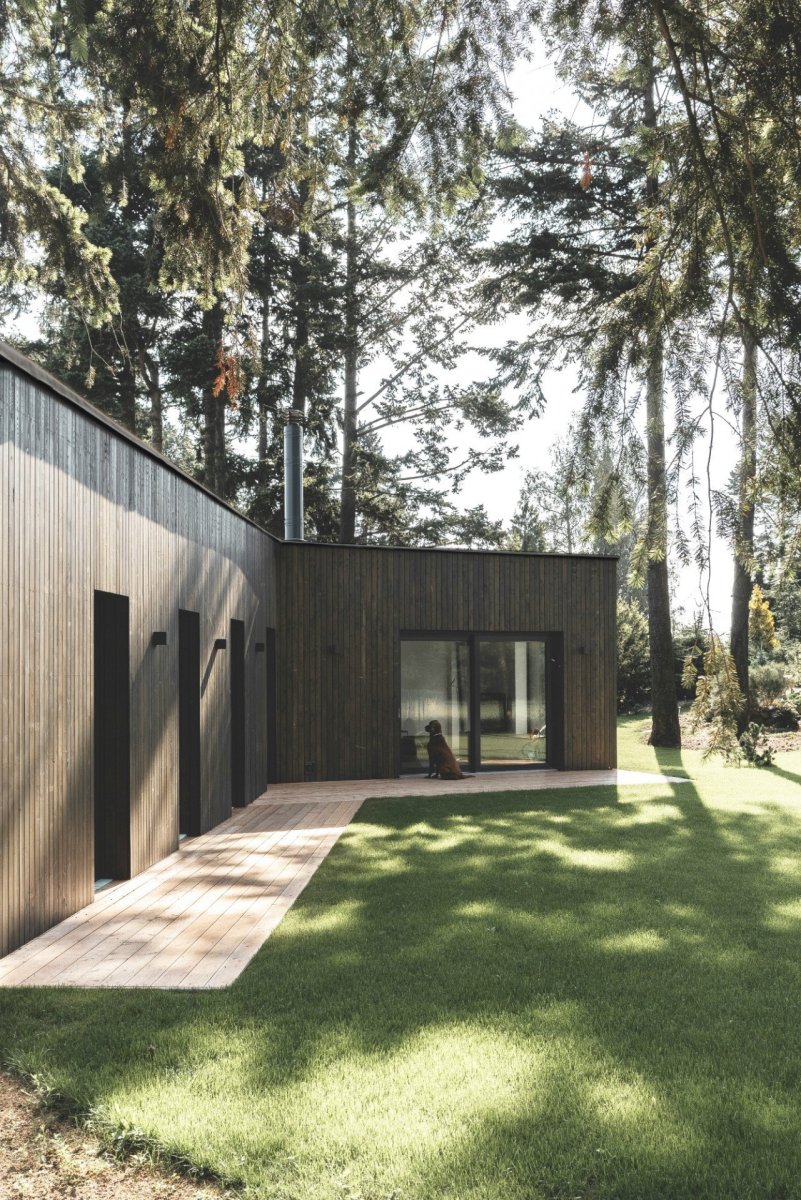 Rodinný dům Mezi stromy, Mio architects.