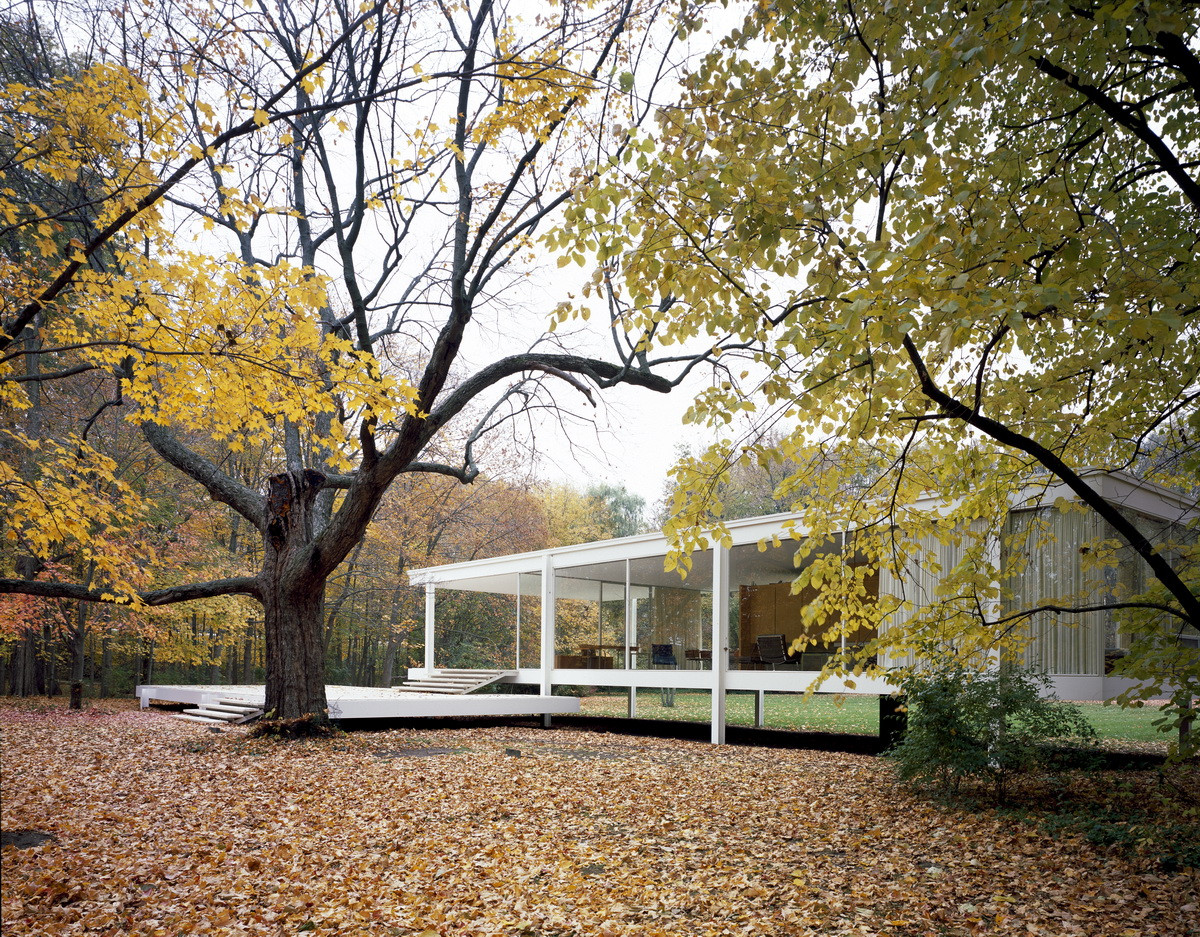 Ve stejné době, kdy se rentgen stal masovým fenoménem a zpřístupnil pohledu vše dosud skryté, začala odhalovat své nitro i architektura; Ludwig Mies van der Rohe: víkendový dům lékařky Edith Farnsworth ve státě Illinois, USA (1951)