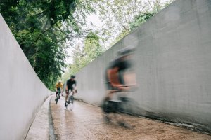 Vltavská cyklostezka mezi Loučovicemi a Vyšším Brodem