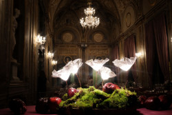 Lafleur od Marca Sadlera.