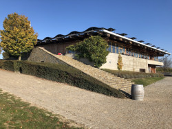 Co by kamenem dohodil od vodní nádrže Nové Mlýny najdete krásné vinařství Sonberk od Josefa Pleskota. Foto: Matěj Beránek