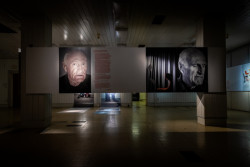 Les je tématem letošního 24. ročníku Designbloku