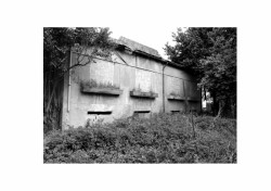 Casa no Porto, João Vieira de Campos