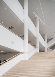 Pavilon IMPAKT MFF UK, majo architekti / Jan Jaroš, Štěpán Jablonský