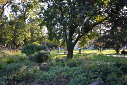 Park na Moravském náměstí, Consequence Forma: Fotografie od poroty Park roku 2023