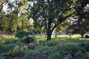 Park na Moravském náměstí, Consequence Forma: Fotografie od poroty Park roku 2023