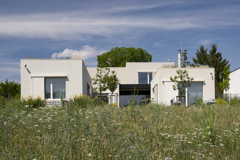Dům ve Slivenci je zapuštěný do terénu a rozdrobený na menší objemy. (A69 architekti, rodinný dům ve Slivenci)
