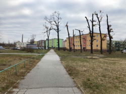 Nadace Proměny Karla Komárka vyhlašuje výzvu k obnově parku před Základní školou U Červených domků v Hodoníně