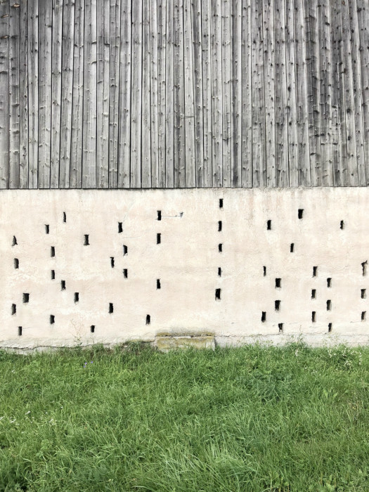 Dom Hora, Archholiks.