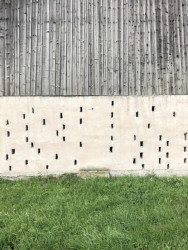 Dom Hora, Archholiks.