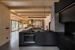 Chata v lese, Adam Hofman a Dominik Ilichman