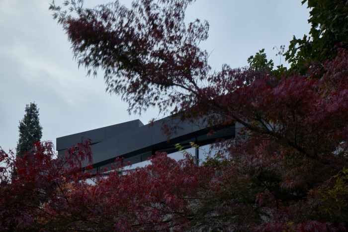 Villa Sophia od collcoll