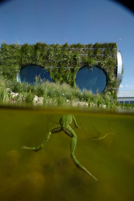 Fránek architects, Experimentální objekt ve Slavkově u Brna, foto