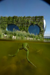 Fránek architects, Experimentální objekt ve Slavkově u Brna, foto