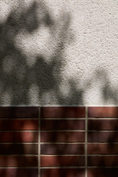 Rekonstrukce činžovního domu v Lucemburské ulici, edit! architects, 2023