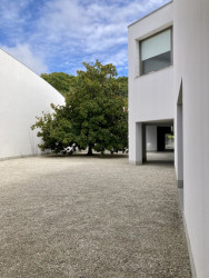 Serralves - museum a okolní příroda v harmonii.