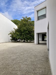 Serralves - museum a okolní příroda v harmonii.