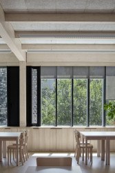 Okna, kterými dovnitř proudí dostatek světla. (Rozšíření Základní školy Duhovka v Praze, ra15)