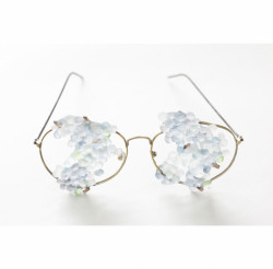 Stanislav Libenský Award 2016, Mirka Janečková– foto