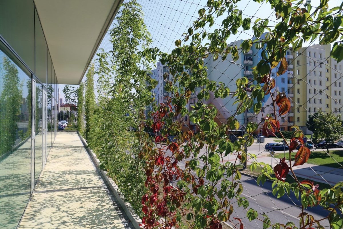 Komunitní centrum Máj v Českých Budějovicích