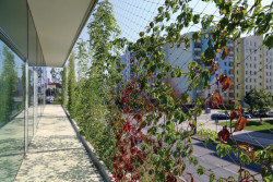 Komunitní centrum Máj v Českých Budějovicích