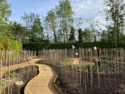 Zahrada sdíleného vědomí po dokončení v dubnu. Foto: Jan Trpkoš