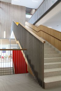 Šafer Hájek architekti, ZŠ Dobřichovice - foto