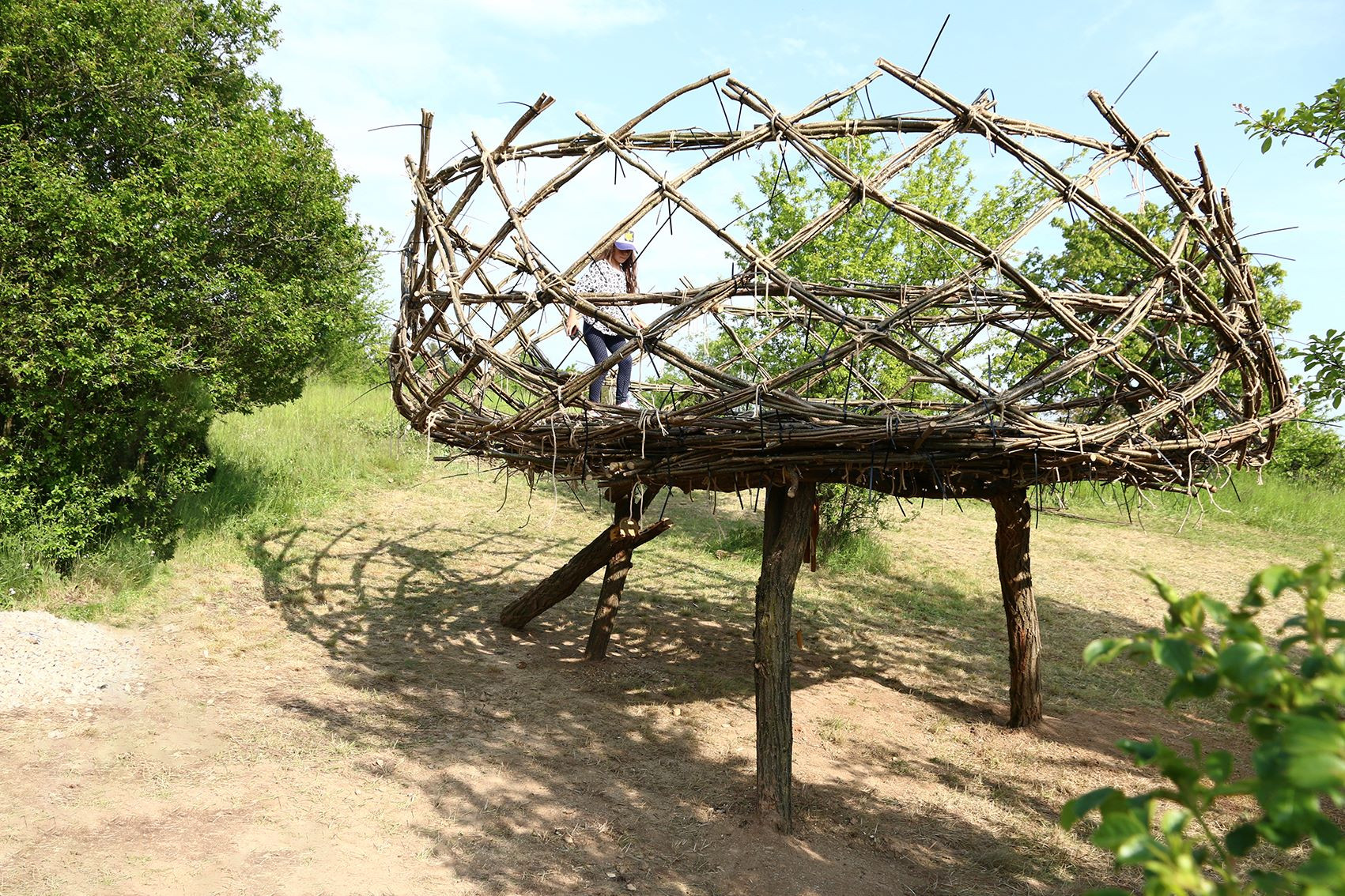 Čtrnáct studentů z Fakulty architektury VUT realizovalo tři experimentální objekty ze dřeva - Žena, Muž a Hnízdo