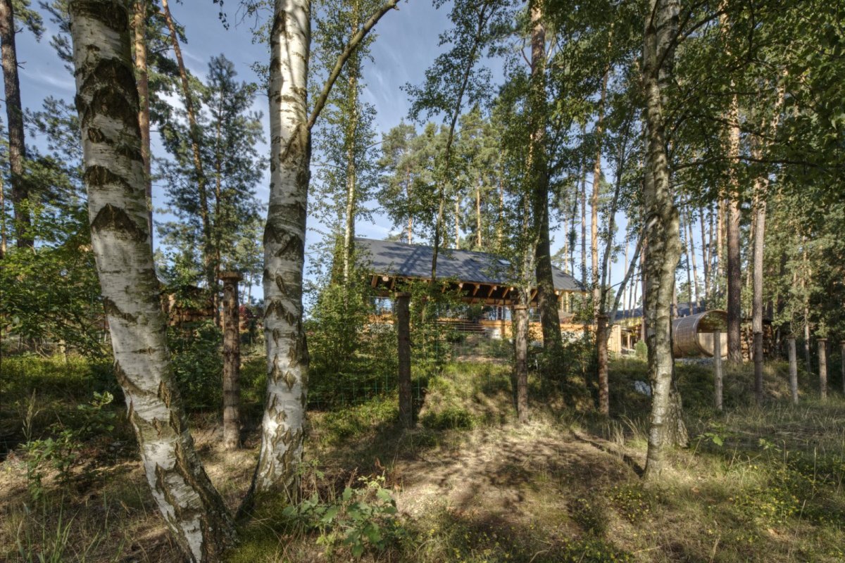 ...zároveň však v lese. (Chata Spiegelbaude, A1 architects)