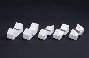model, Twin house, bergmeisterwolf architekten,