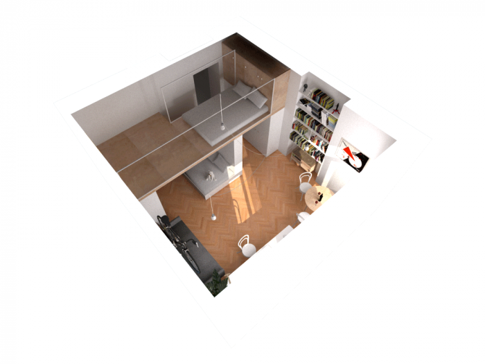 0,5 Studio, Byt I. P. Pavlova, vizualizace – foto