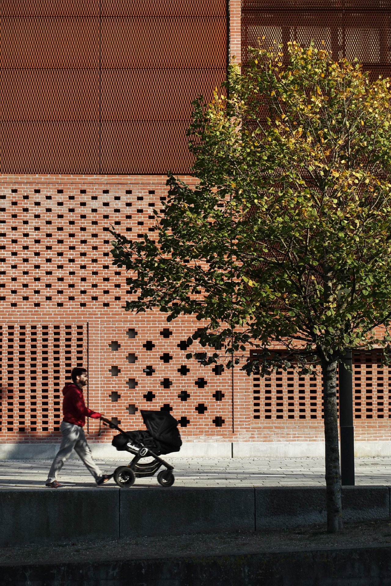 Až vinná réva pokryje všechny fasády domu, vznikne kontrast mezi strnulým vzorem a organicky rostoucími rostlinami.