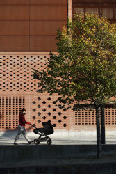 Až vinná réva pokryje všechny fasády domu, vznikne kontrast mezi strnulým vzorem a organicky rostoucími rostlinami.