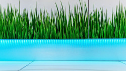 Adam Rujbr Architects, Lékárna Korunka Veveří - foto