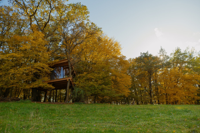 Tree House, Jan Tyrpekl