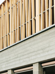 Sprössling, Marazzi Reinhardt