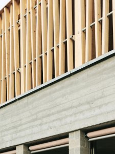 Sprössling, Marazzi Reinhardt