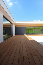 XYstudio, Kindergarten Yellow Elephant – foto