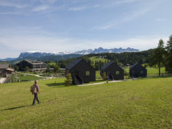 pfösl hotel, bergmeisterwolf, Foto