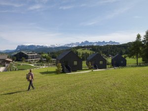pfösl hotel, bergmeisterwolf, Foto