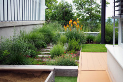 Terasa na podzemních garážích bytového domu, Andrea Večeřová, Vít Ondráček.