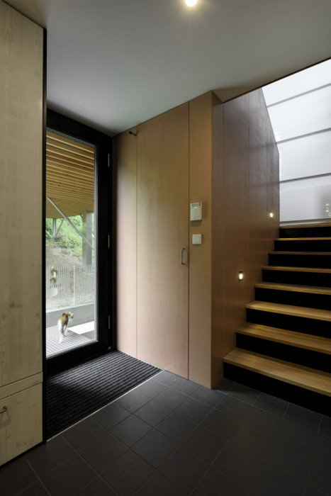 Rodinný dům v Řevnicích, SCHAUFLER-ROSKOVEC