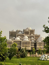 „Nejvýraznějším prvkem jsou určitě kopule, které tvoří střechu. Ty také odkazují k osmanské tradici,“ píše Jáchym Šenkýř. Budova jich má celkem 99. „Po delším zkoumání exteriéru mi přislo, že budova napodobuje kopce, jenž Prištinu obklopují,“ dodává.