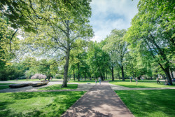 Jiráskovy sady v Litoměřicích (Z. Sendler, R. Táborová),
nominace na Českou cenu za architekturu 2016, Park roku 2017