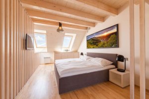 0,5 Studio, Chytrý apartmán U Venuše - foto