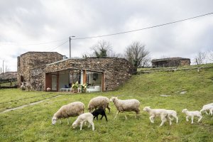 Cubus, A’Bodega - foto