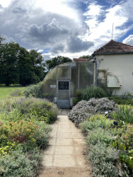 Zámek Kačina, Jiří Fischer, 1806–1824: V rozlehlých zahradách se mimo jiné nachází skleník, bylinková zahrádka a naučná stezka