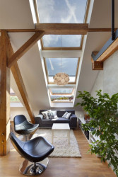 Dalibor Hlaváček, Půdní vestavba Terronská, foto